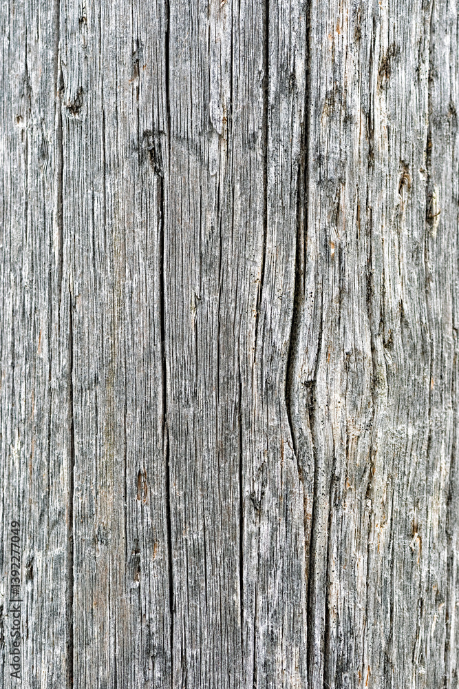 Close-up view of aged, weathered wood with intricate grooves and patterns emphasizing its rustic charm in natural light. Close-up view of aged, weathered wood with intricate grooves and patterns emphasizing its rustic charm in natural light.