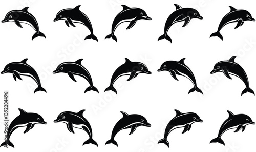 dolphin vector