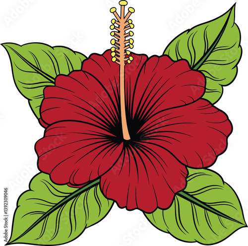 Hibiscus colorful flower vector art| perfect for hibiscus flower themed designs| Vibrant tropical flowers colorful hibiscus bouquet illustration
