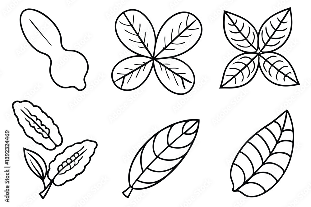 Peanut Leaf Line Art Unique Concept for Botanical Drawing 