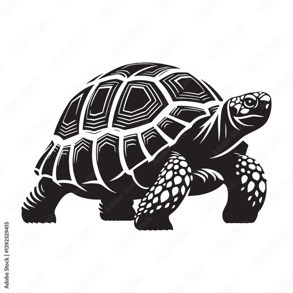 Fototapeta premium Timeless Sulcata Tortoise silhouette, moving gracefully across the landscape – Sulcata Tortoise illustration – Sulcata Tortoise vector – Reptile silhouette