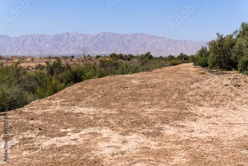 Arid landscape with dry vegetagion  in the Mexican desert near Mexicali, Baja California