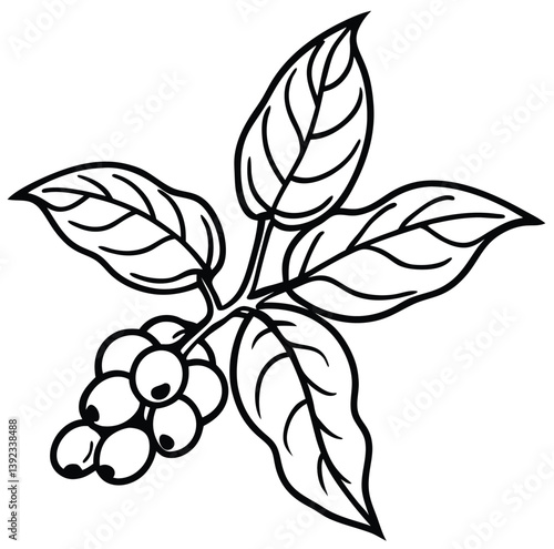 Close-up visual of shiny coffee grains and smooth leaves, reflecting nature’s richness and caffeine culture. Perfect for digital art, print, or lifestyle visuals.