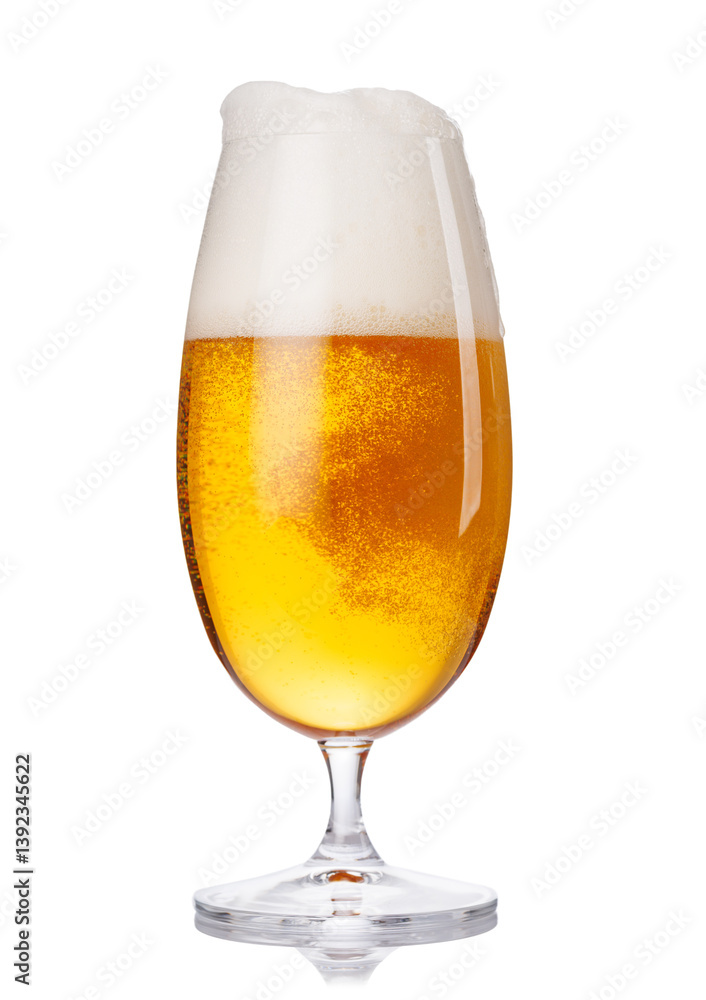 A tall glass of beer with a golden hue and frothy head, isolated on a clean white background A tall glass of beer with a golden hue and frothy head, isolated on a clean white background