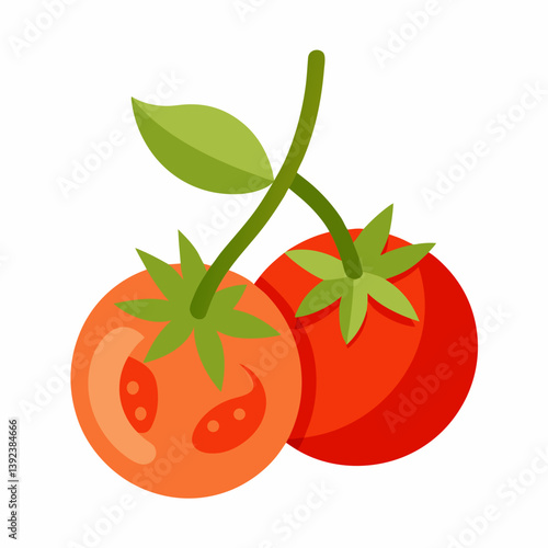 tomato isolated on white background
