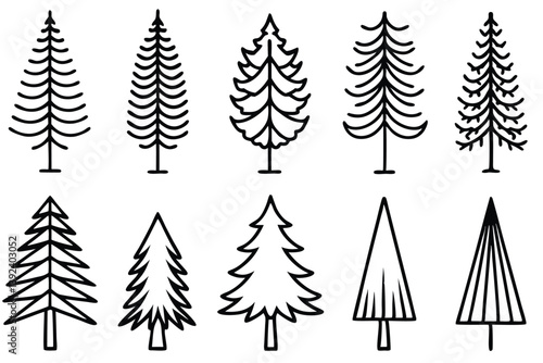 Pines Line Art Illustration Elegant Drawing for Landscape Artwork 
