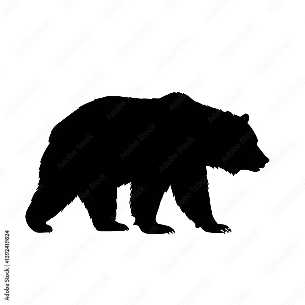Fototapeta premium silhouette of a bear