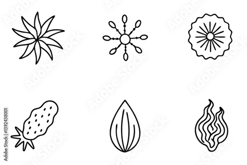 Phytoplankton Line Art Illustration Creative Design for Scientific Artwork  