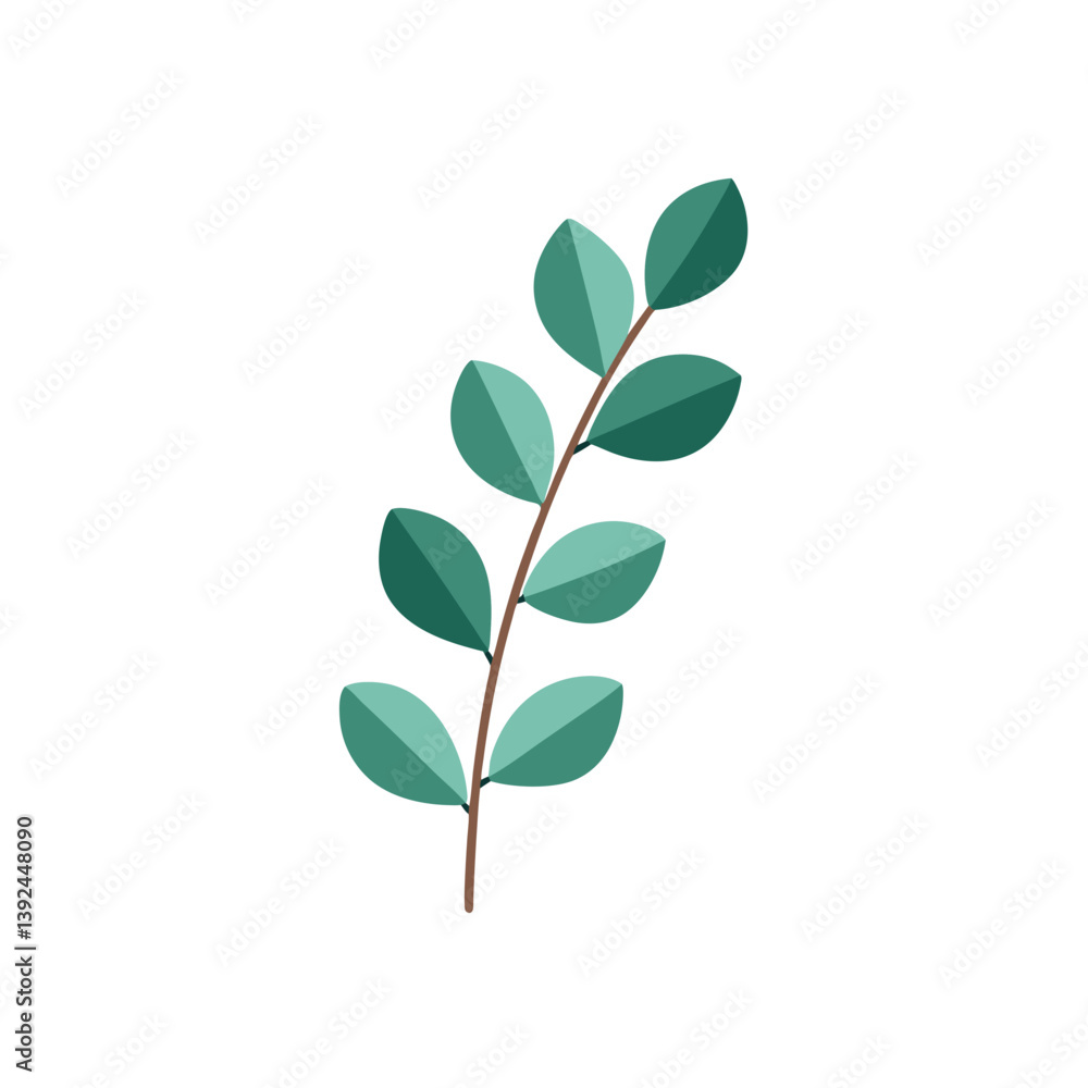 green leaf isolated on white green leaf isolated on white