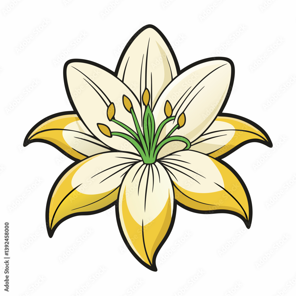 Obraz premium yellow lily flower