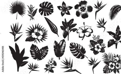 Set of tropical leaves and exotic flower. Palm, banana leaf, hibiscus, plumeria flowers, bird of paradise., monstera Bouquets with tropical flowers. silhouette Vector  illustration.