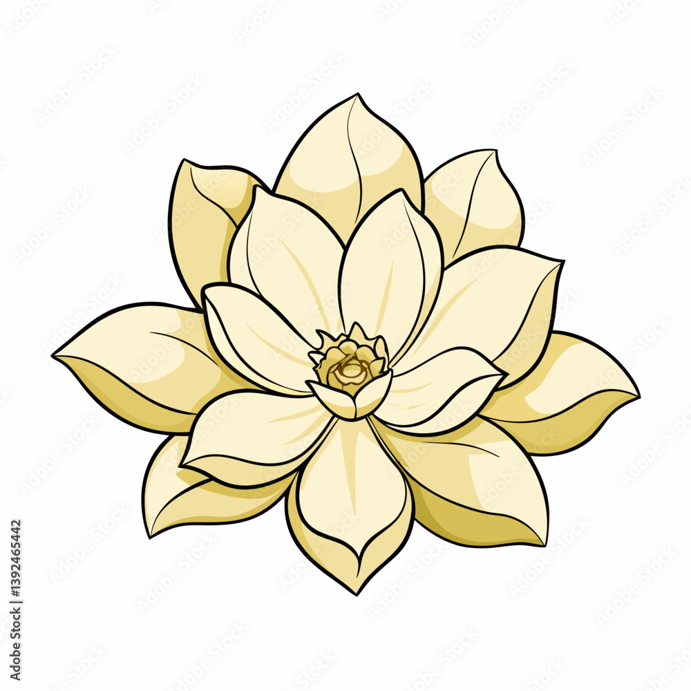 Fototapeta premium yellow flower isolated on white