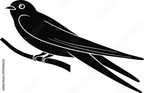 Beautiful Celestial Swift bird sitting on the branch silhouette black color vector illustration