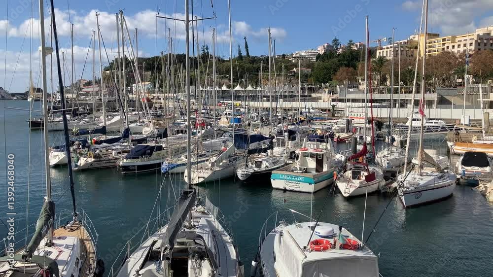 The harbour and yacht marina in. Funchal, Madeira Island, Portugal	