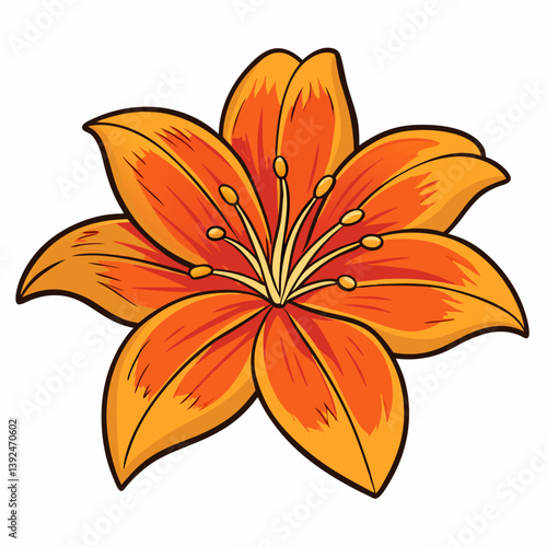 orange tiger lily