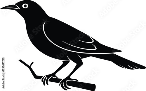 Beautiful Golden Oriole bird sitting forward on the branch silhouette black color vector illustration 