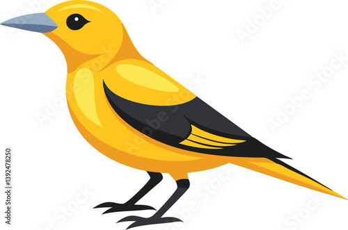 Beautiful Golden Oriole bird vector illustration