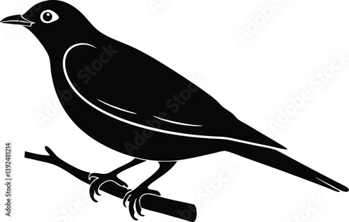 Beautiful Sapphire Cotinga bird sitting forward on the branch silhouette black color vector illustration