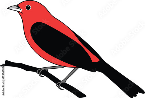 Beautiful scarlet tanager bird sitting on the branch silhouette black vector illustration