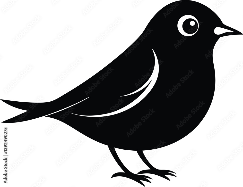 Fototapeta premium Beautiful Silvereye bird silhouette black color vector illustration 