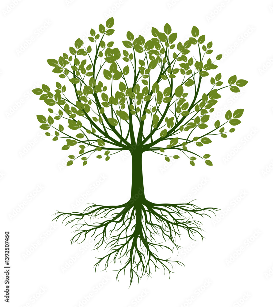 Obraz premium Shape of green Tree with Leaves and Roots. Vector outline Illustration.