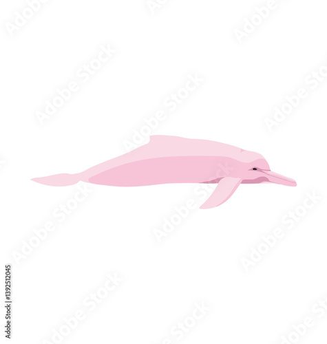 Inia geoffrensis - Male Amazon river dolphin seen in Side view
