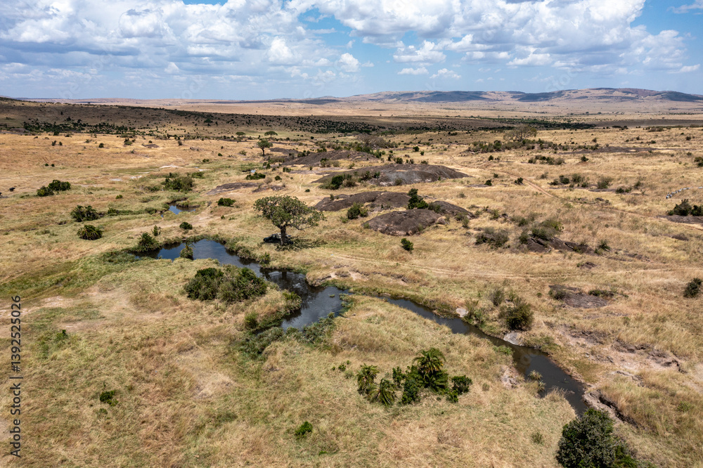 Aerial view of the plains, Masai-Mara game reserve, Kenya. August, 2023. Aerial view of the plains, Masai-Mara game reserve, Kenya. August, 2023.