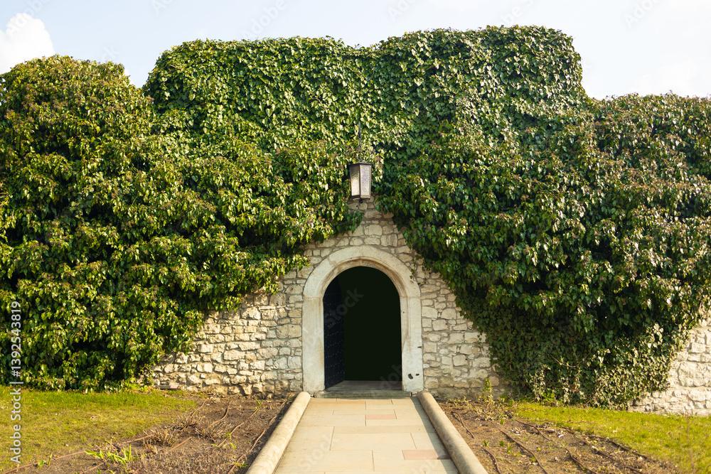Stone archway entrance partially covered by lush green ivy, giving a natural and inviting look to the building. The walkway leading up to it is bordered with well-maintained grass. Ideal for