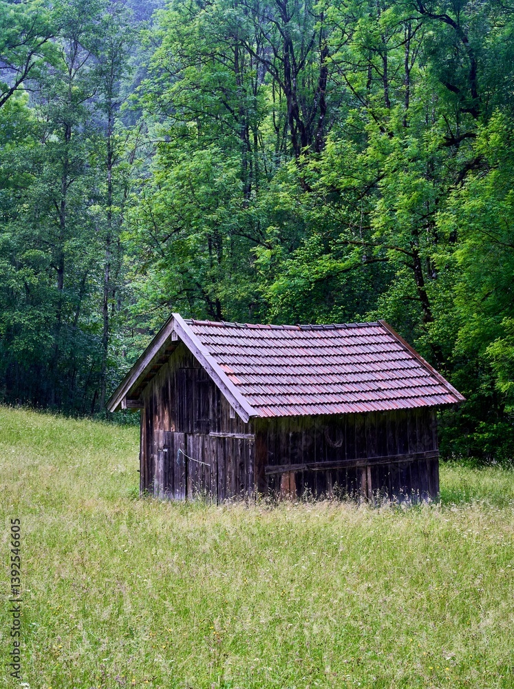 Fototapeta premium Rustic cabin in a lush forest clearing.