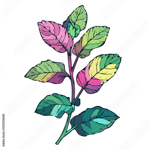 A painting of a minimal colorful Lemon Balm branch. Trendy abstract minimal style, plant set, Natural fresh. Vector illustration isolated on white background, vector