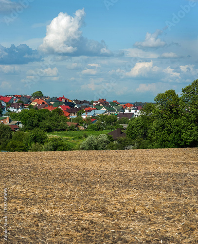 Rural landscape with Ukrainian village, arable land, colorful village roofs o...