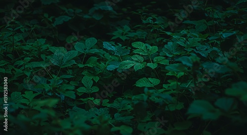 Deep Forest Undergrowth: Lush Green Foliage at Dusk AI Generated
