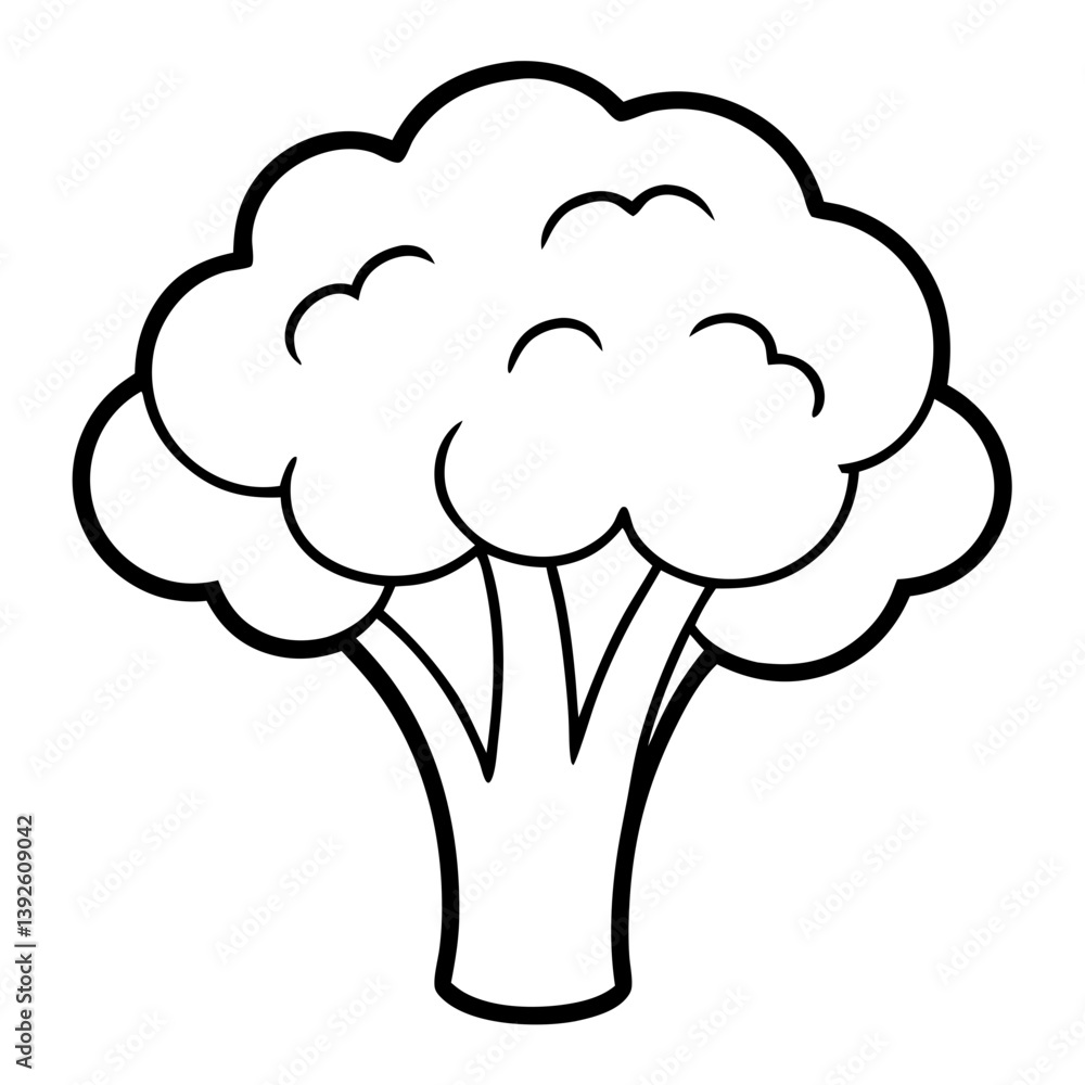 Broccoli Coloring Book Page – Line Art Outline Drawing for Vegetable Botanical Illustration Broccoli Coloring Book Page – Line Art Outline Drawing for Vegetable Botanical Illustration