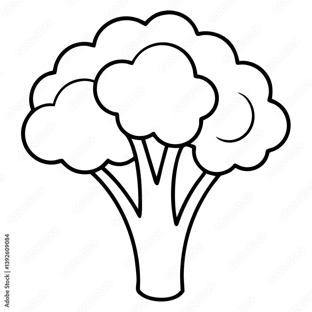 Broccoli Coloring Book Page – Line Art Outline Drawing for Vegetable Botanical Illustration Broccoli Coloring Book Page – Line Art Outline Drawing for Vegetable Botanical Illustration
