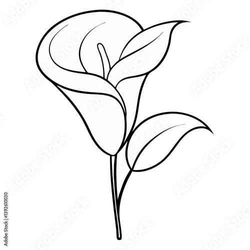 Calla Lily Flower Coloring Book Page – Line Art Outline Drawing for Floral Botanical Illustration