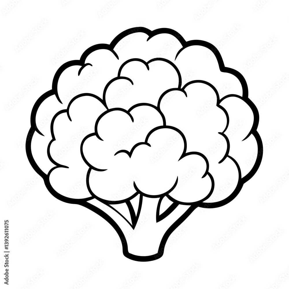 Cauliflower Coloring Book Page – Line Art Outline Drawing for Vegetable Botanical Illustration Cauliflower Coloring Book Page – Line Art Outline Drawing for Vegetable Botanical Illustration