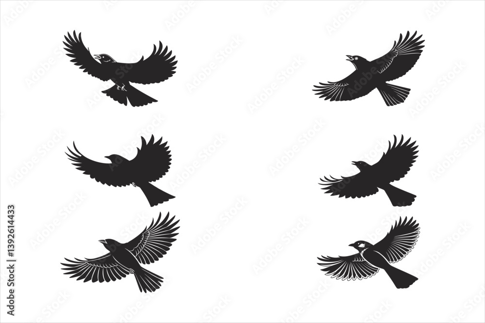 Fototapeta premium hummingbirds silhouette