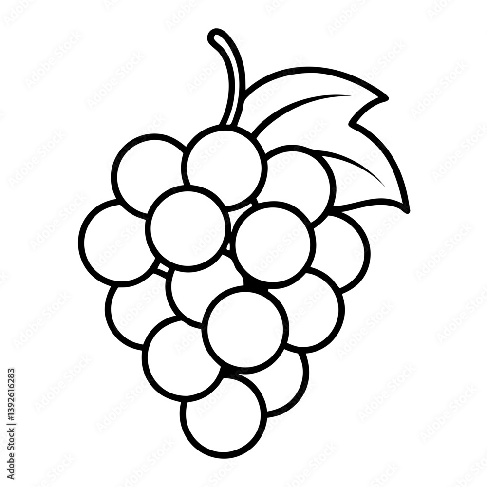 Grapes Fruit Coloring Book Page – Line Art Outline Drawing for Botanical and Food Illustration Grapes Fruit Coloring Book Page – Line Art Outline Drawing for Botanical and Food Illustration