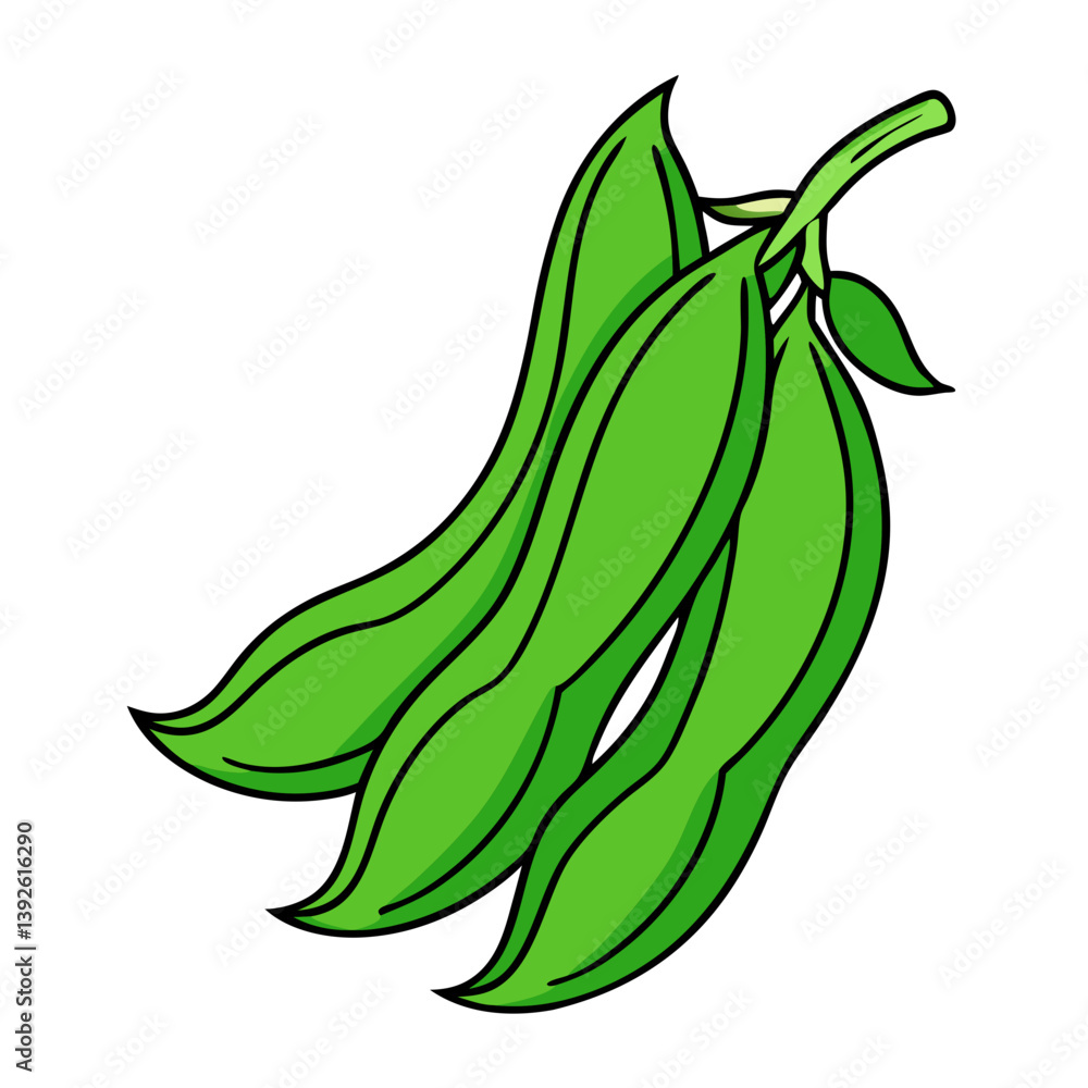 Green Beans Coloring Book Page – Line Art Outline Drawing for Botanical and Food Illustration Green Beans Coloring Book Page – Line Art Outline Drawing for Botanical and Food Illustration