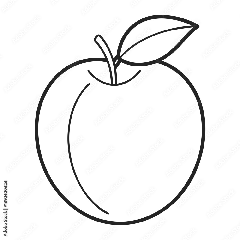 Peach Fruit Coloring Book Page – Line Art Outline Drawing for Botanical and Educational Use Peach Fruit Coloring Book Page – Line Art Outline Drawing for Botanical and Educational Use