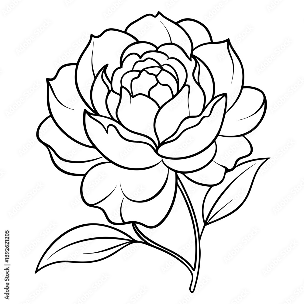 Fototapeta premium Peony Flower Coloring Book Page – Line Art Botanical Drawing for Floral Illustration