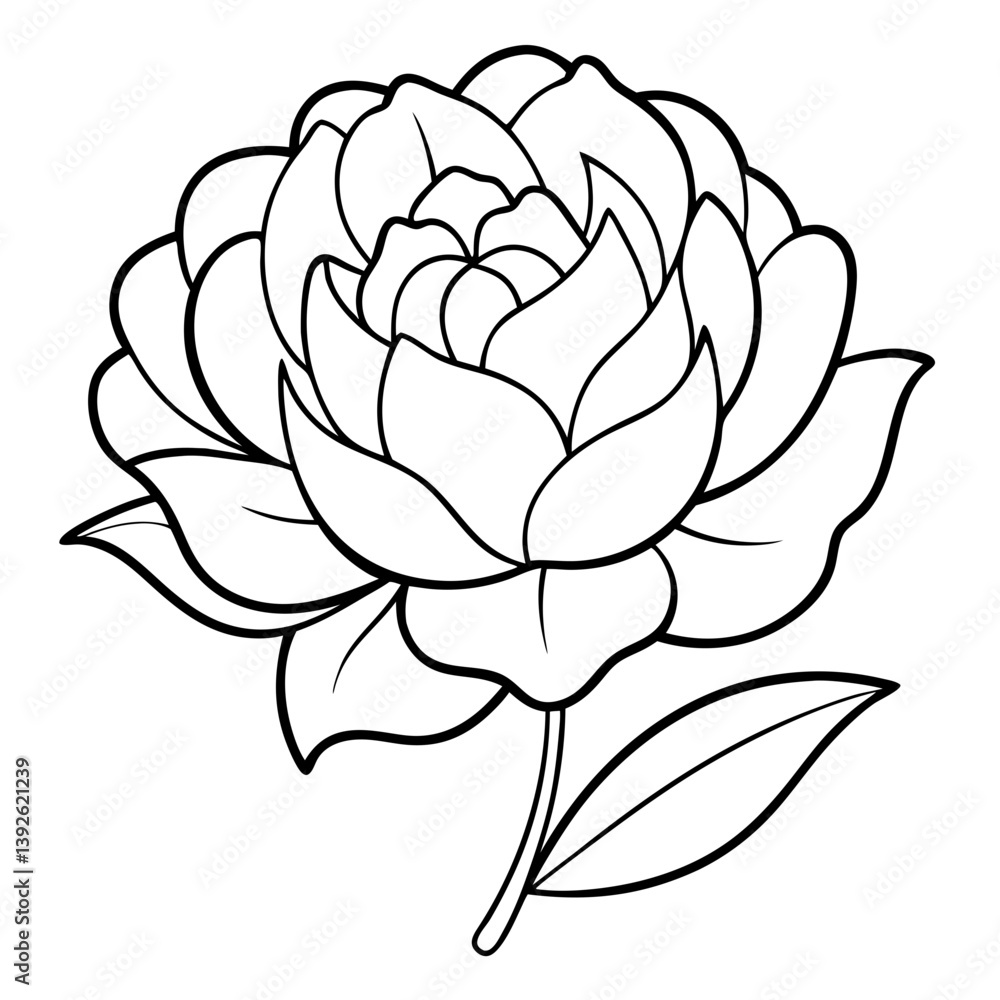 Fototapeta premium Peony Flower Coloring Book Page – Line Art Botanical Drawing for Floral Illustration