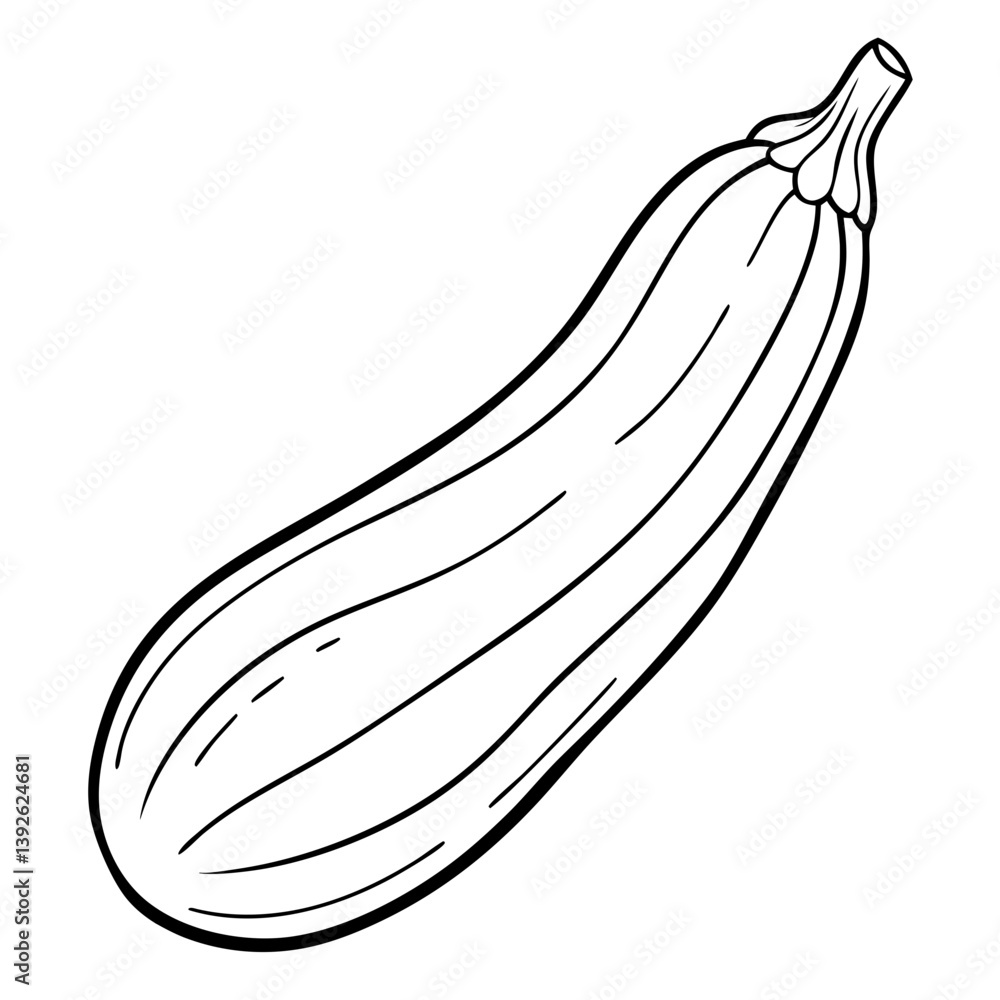 Zucchini Courgette Coloring Book Page Line Art Zucchini Courgette Coloring Book Page Line Art
