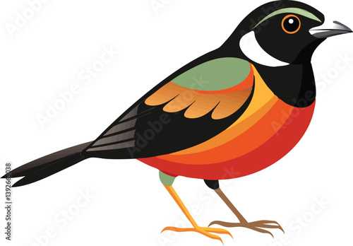 Beautiful lark bunting vector illustration