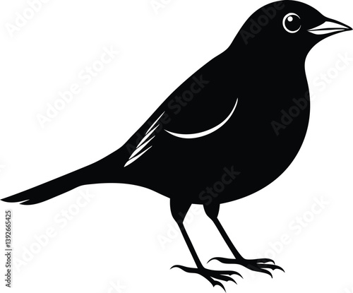 Beautiful lark bunting silhouette black color vector illustration artwork