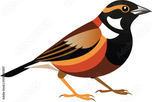 Beautiful lark bunting vector illustration