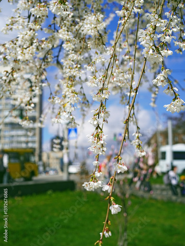 Kyiv spring