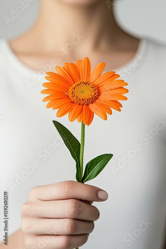 Close-up of a Woman's Hand Gently Holding a Single Vibrant Orange Gerbera Daisy Against a Muted Gray Background, Wearing a Simple White T-Shirt.