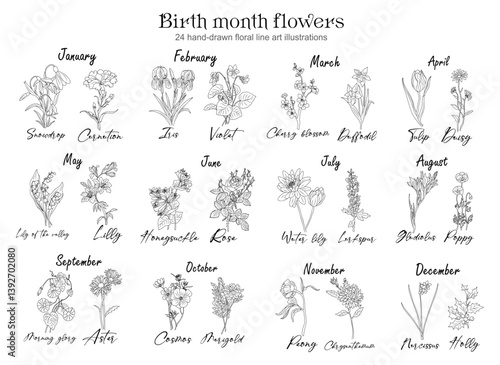Set of Birth month flowers line art vector illustrations. Snowdrop, Violet, Cherry Blossom, Water lily, poppy, morning glory, cosmos, chrysanthemum, rose outline drawings for tattoo, logo, wall art.