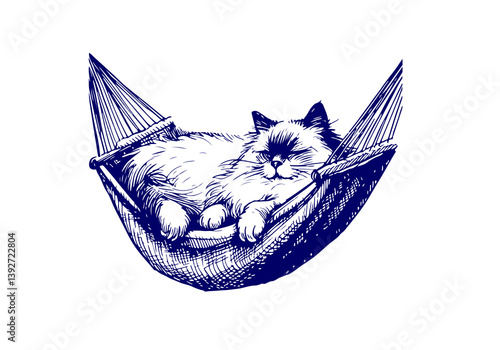 Ragdoll Cat Hand Drawn Illustration Sketch Vector Isolated for Graphic Resource